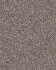 Refined Chic Alaskan Air Textured Carpet