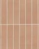 Sahara Cotto Matte Glazed Porcelain 3