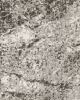 Stirling Patterned SmartStrand Silk Carpet