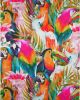 Tropics TC5 Confetti Area Rug