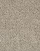 Value 60 Textured Everstrand Polyester 57oz Carpet