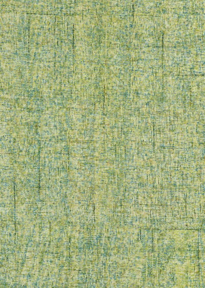 Calisa CS5 Kiwi Area Rug