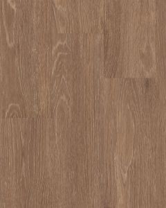 Uptown Now 12 Rush Street 6