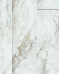 Paragon Tile Plus Calacatta 12