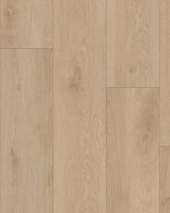 Homeward Wheatfield 9