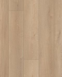 Starting Line Honey Gold 7