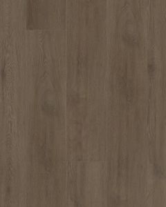 Starting Line Stormy Espresso 7