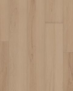 Ambition Champagne 7