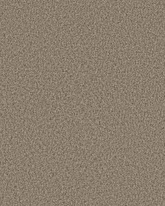 Artistic Fusion I Pet Friendly 43oz Carpet