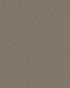 Artistic Fusion II Pet Friendly Carpet