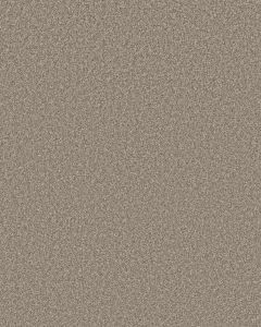 Monumental II 53oz Pet Friendly Textured Carpet