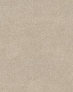 Thoughtful Beauty II 68oz Pet Perfect Textured Carpet