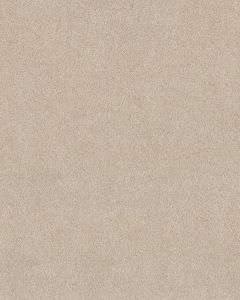 Pawsitive T Pet Friendly Textured 40oz Carpet