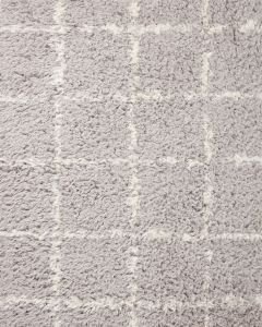 Amira AMI-04 Silver/Ivory Area Rug