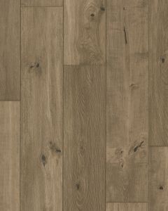 Anthology Suede Restoration 7