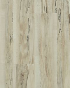 Anvil Plus 20 Mil Mineral Maple Luxury Vinyl