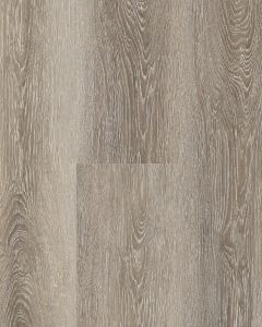 Cali Windansea High Tide Bird Rock Ridge Vinyl