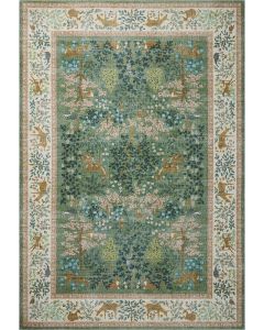 Canopy CNP-02 Sage/Blush Area Rug