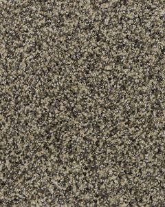 Charming Interest SmartStrand Silk Carpet