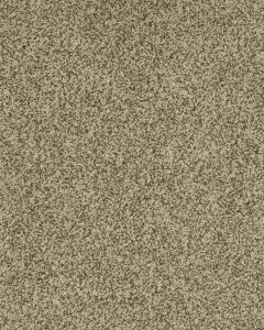 Cherished Tradition Kashmere Nylon Carpet