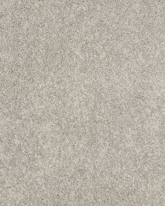 Claws and Effect I 43oz Pet Friendly Carpet