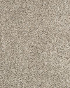Claws and Effect II 58oz Pet Friendly Carpet