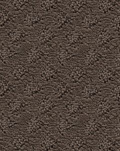 Delicate Glamour SmartStrand Pattern 25oz Carpet