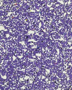 Hero Rubber + Nike Grind Dunk Plum