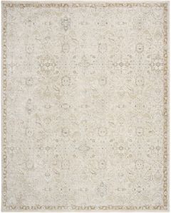 Envy EVV04 Taupe Area Rug