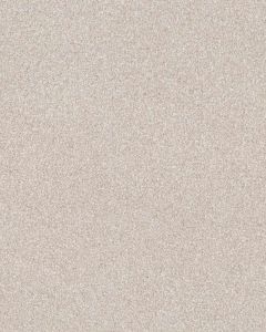 Expertise Textured 48oz Pet Friendly Carpet