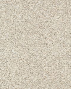 Stylish Connection Textured 45oz Nylon Carpet