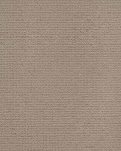 Enduring Statement SmartStrand 36oz Carpet