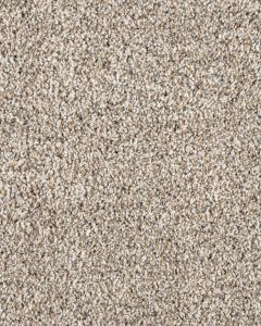 Leon Textured 40oz SmartStrand Carpet