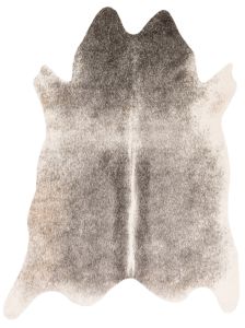 Grand Canyon GC-11 Grey/Ivory Area Rug