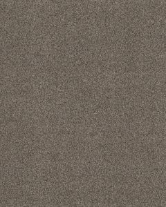 Impressions Nylon 63oz Carpet