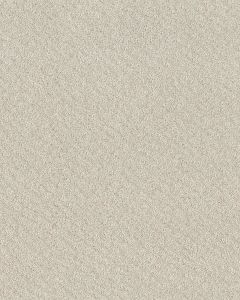 In Style Patterned 34oz Carpet