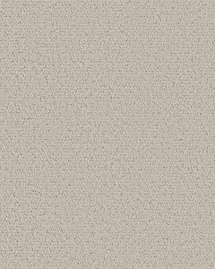 Intricate Trace Pet Friendly 43oz Carpet