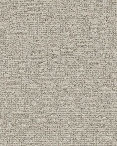 Serene Fashion Pattern Nylon Carpet