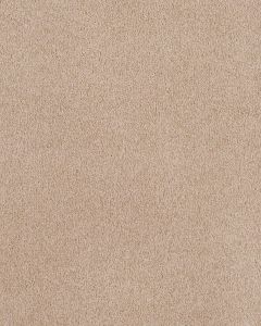 Island Mood Textured Nylon Carpet