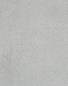 Impressive Character SmartStrand Triexta Carpet