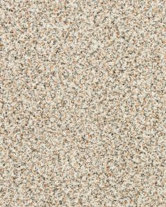 Instinctive Classic Textured 42oz SmartStrand Carpet