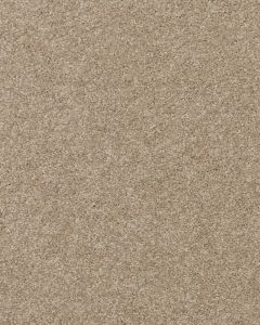Delicate Shades Textured 70oz SmartStrand Carpet