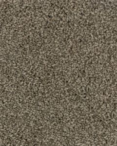 Dove Creek SmartStrand Textured 45oz Carpet