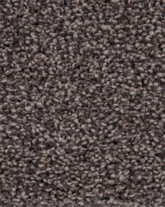 Oracle Textured Nylon Carpet