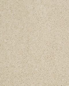 Hillcrest II Textured Nylon 29oz Carpet