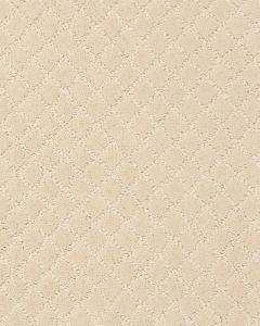 Pawnache Patterned Nylon Carpet