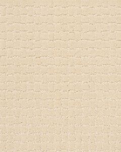 Pawstruck Patterned Nylon Carpet