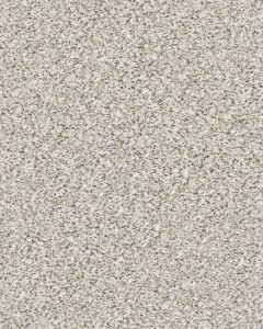 Pikes Peak Textured Nylon Carpet