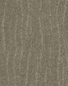 Pose Patterned Nylon Carpet