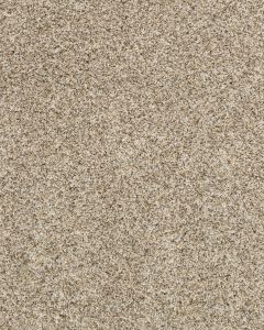 Purrsonality II Pet Friendly 60oz Carpet